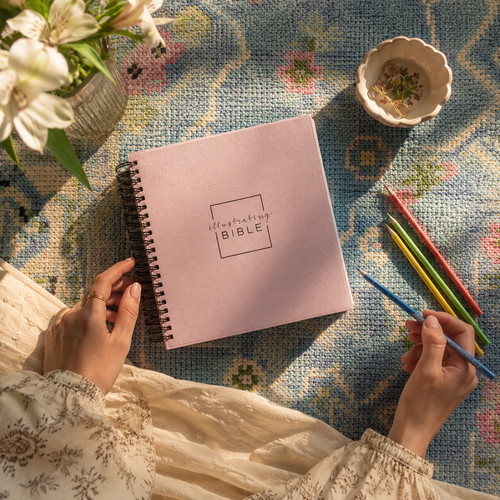 Pink Illustrating Bible, Spiral-bound