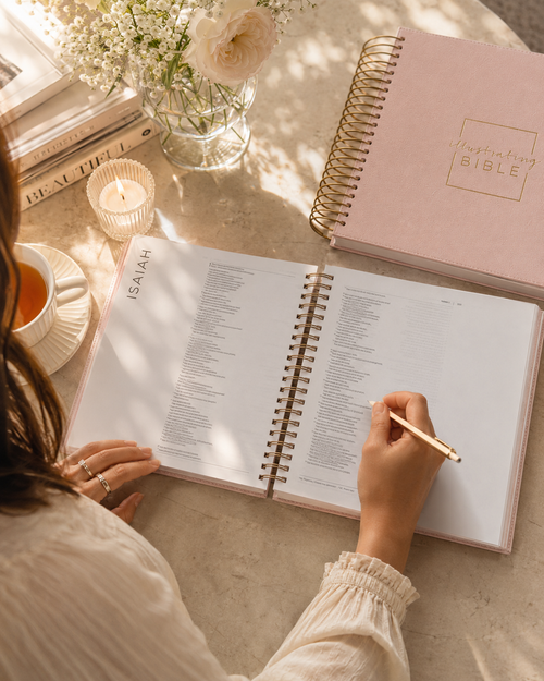Pink Illustrating Bible, Spiral-bound