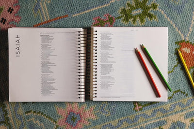Pink NIV Illustrating Bible, Spiral-bound